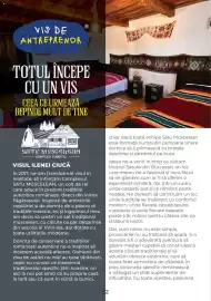 Catalog Metro Pagină 52