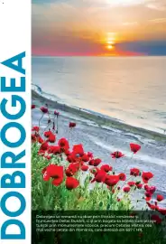 Catalog Metro Pagină 54