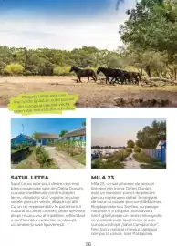 Catalog Metro Pagină 56