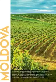 Catalog Metro Pagină 70