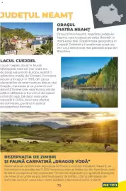 Catalog Metro Pagină 75