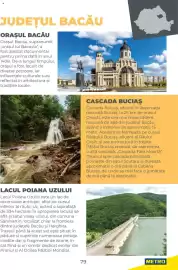 Catalog Metro Pagină 79