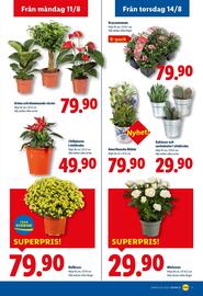 Lidl reklamblad vecka 33 Sida 21