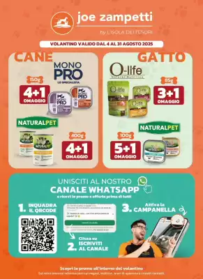 Volantino Joe Zampetti (valido fino al 31-08)