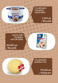 Catalog Sergiana Grup Pagină 4