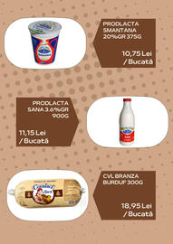 Catalog Sergiana Grup Pagină 5
