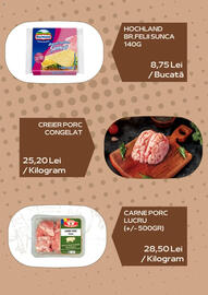 Catalog Sergiana Grup Pagină 6
