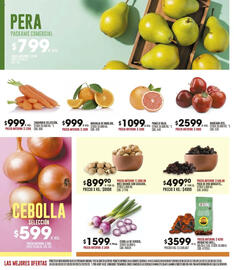 Catálogo Coto semana 32 Página 2