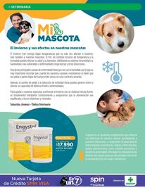 Catálogo Cruz Verde Página 14