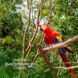 Catálogo Mega Travel Página 2
