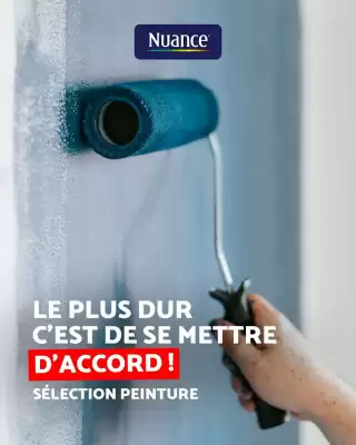 Catalogue Bricomarché