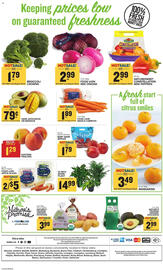 Food Lion Weekly Ad week 32 Page 8