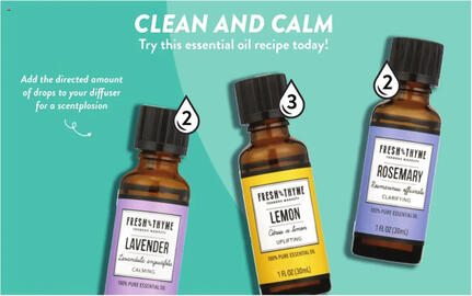 Fresh Thyme Weekly Ad week 32 Page 8