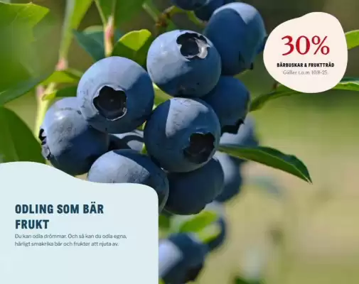 Blomsterlandet reklamblad (giltig till och med 25-08)