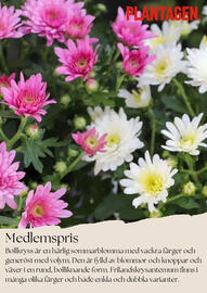 Plantagen reklamblad Sida 1
