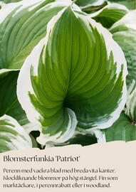 Plantagen reklamblad Sida 9