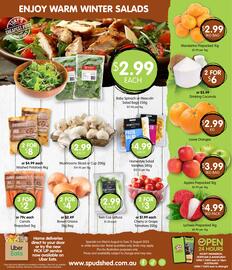 Spudshed catalogue week 32 Page 17