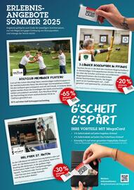 Der Grissemann Flugblatt Seite 5