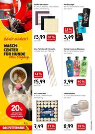Der Grissemann Flugblatt Seite 6