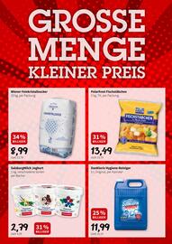 Der Grissemann Flugblatt Seite 9