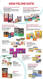 Petsmart flyer Page 6