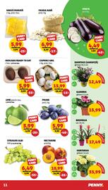 Catalog Penny săptămâna 32 Pagină 11