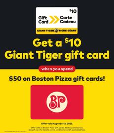 Giant Tiger flyer Page 17