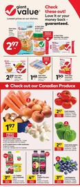 Giant Tiger flyer Page 3