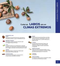 Catálogo Terramar Brands Página 125