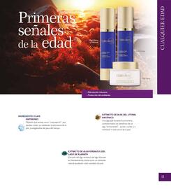 Catálogo Terramar Brands Página 13