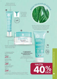 Catálogo Yves Rocher Página 15