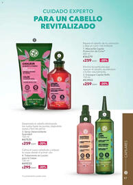 Catálogo Yves Rocher Página 99