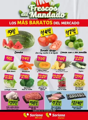 Catálogo Soriana Mercado (válido hasta 7-08)