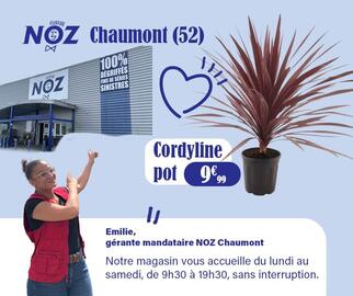 Catalogue Noz page 2