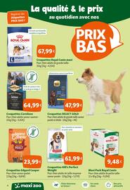 Catalogue Maxi Zoo page 4