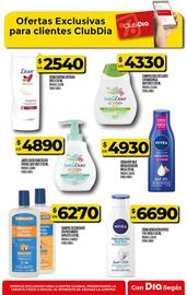Catálogo Supermercados DIA semana 32 Página 55