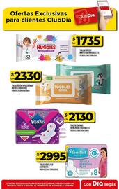 Catálogo Supermercados DIA semana 32 Página 57