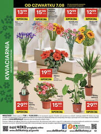 Delikatesy Centrum gazetka tydzień 32 Strona 52