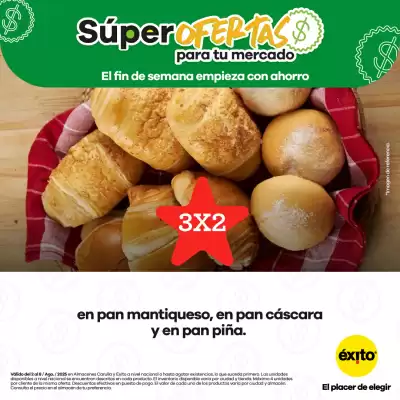 Catálogo Éxito (válido hasta 8-08)