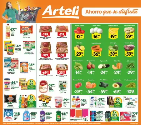Catálogo Arteli express