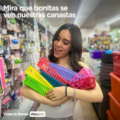 Catálogo Waldos (válido hasta 6-08)
