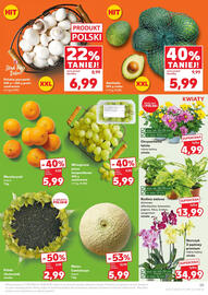 Kaufland gazetka tydzień 32 Strona 25