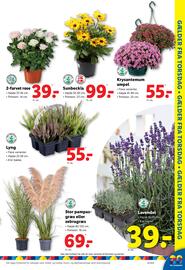 Lidl tilbudsavis uge 33 Side 25