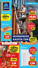 Hofer Flugblatt woche 32 Seite 1