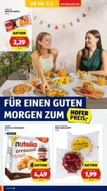 Hofer Flugblatt woche 32 Seite 12