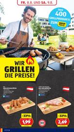 Hofer Flugblatt woche 32 Seite 8