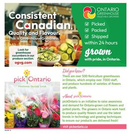 Fortinos flyer week 32 Page 19