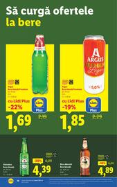 Catalog Lidl săptămâna 33 Pagină 10