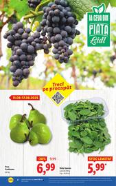Catalog Lidl săptămâna 33 Pagină 2