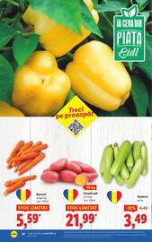 Catalog Lidl săptămâna 33 Pagină 22